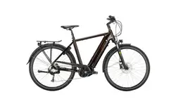 Victoria eTrekking 12.8